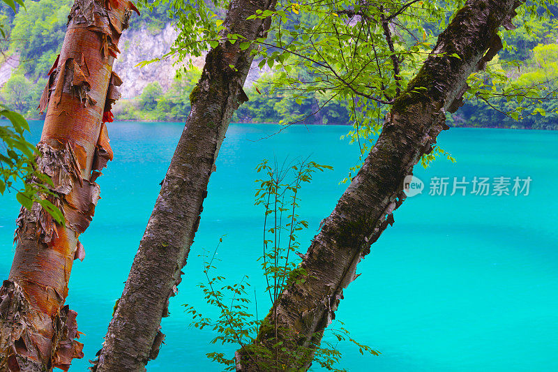 中国四川九寨沟的一个湖泊