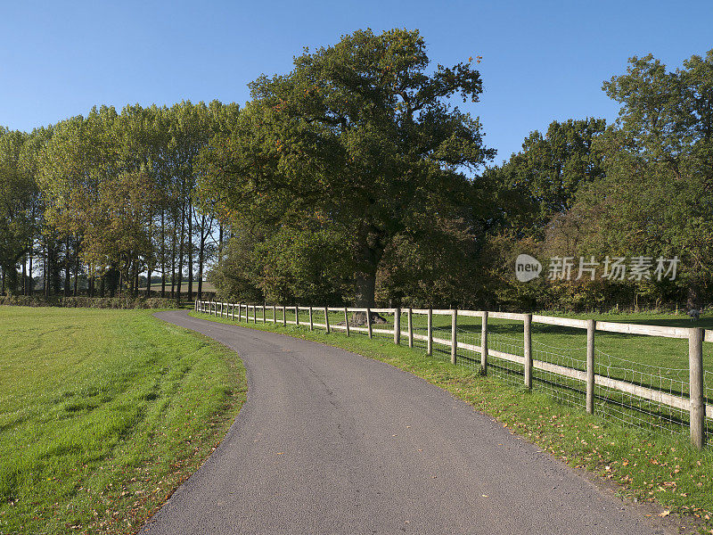 乡村的小路上