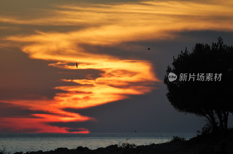 海岸线在日落之后