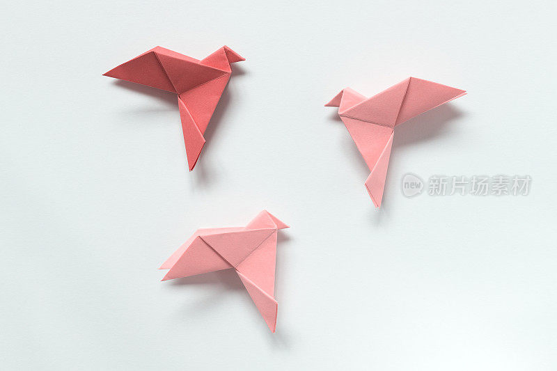 不同颜色的粉红鸟。灯光背景上的折纸。自由的概念，灵感。