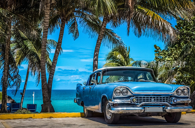 一辆美国蓝色老爷车停在棕榈树下，在古巴的巴拉德罗