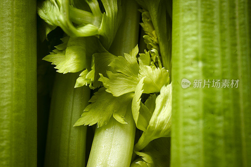 芹菜特写镜头背景