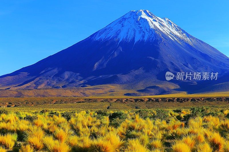 利坎卡武尔和尤里科斯雪山火山和田园般的阿塔卡马沙漠高原草原在金色的日落，火山景观全景-圣佩德罗阿塔卡马，智利，Bolívia和阿根廷边境
