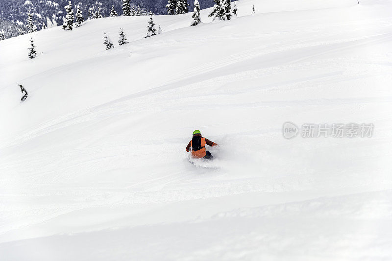 滑雪板在行动在新鲜的粉末雪