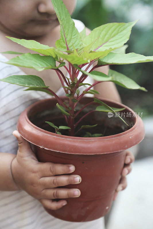 小孩抱着花盆