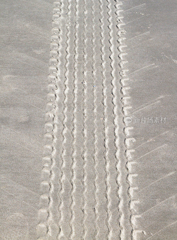沙地上有轮胎痕迹