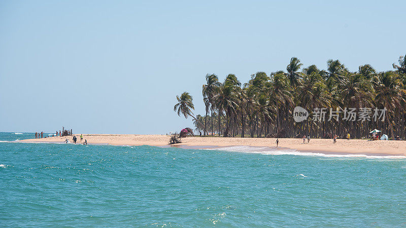 巴西阿拉格斯州马塞奥市的贡加海滩
