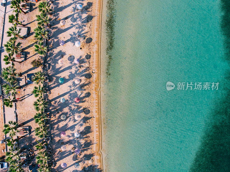 清晨的海滩