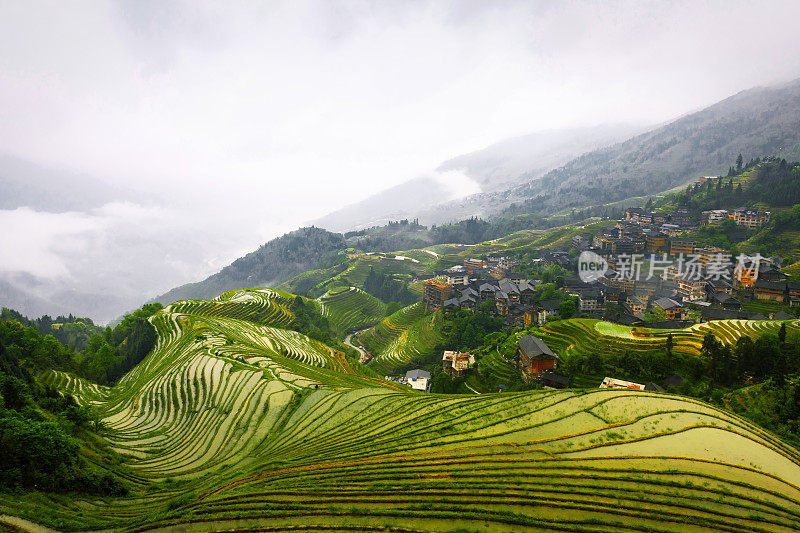 龙胜稻田的全景