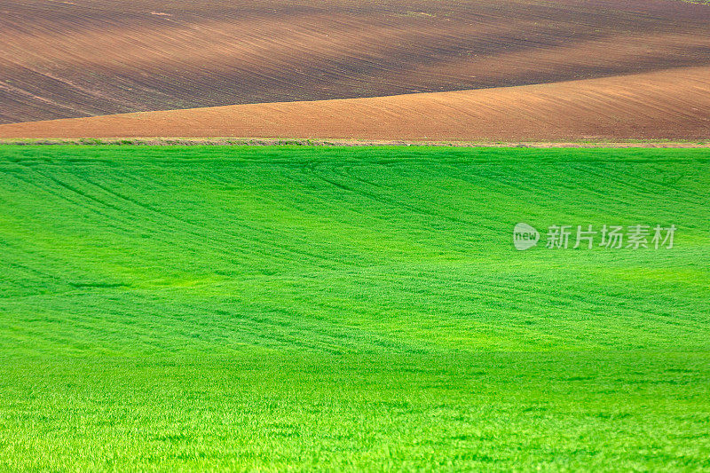 耕种田地