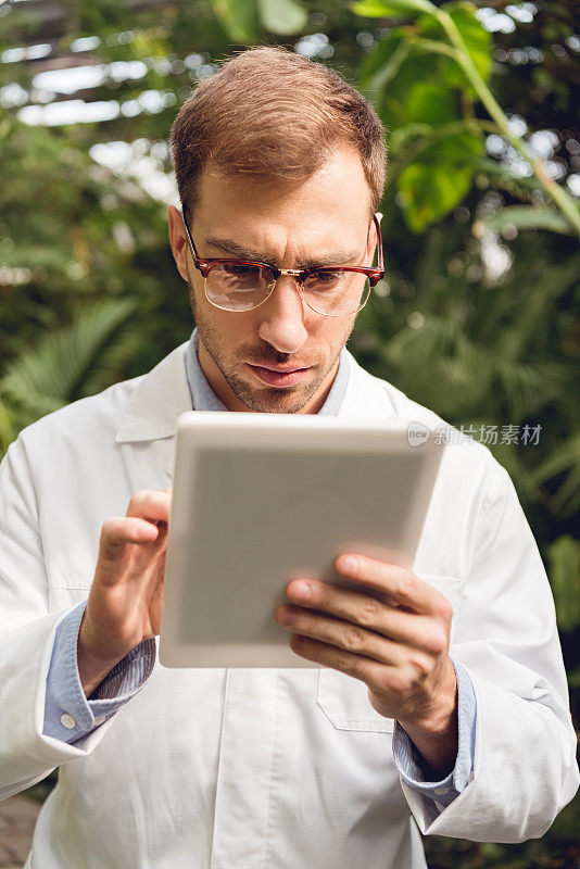 穿着白大褂，戴着眼镜的专注英俊的科学家在橘红色里使用数字平板电脑