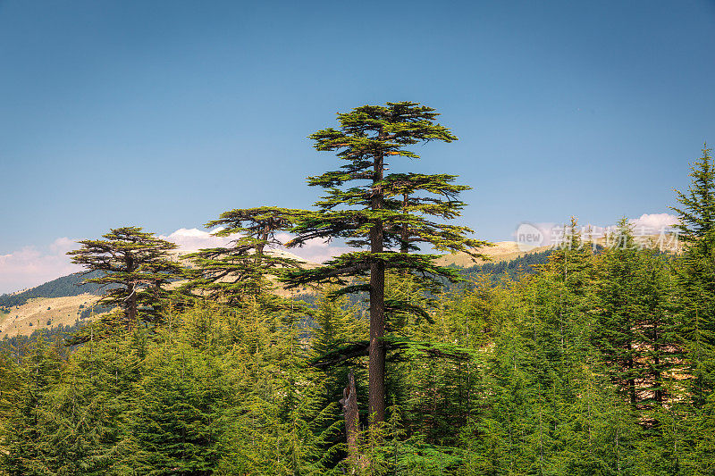 土耳其安塔利亚的黄昏山景