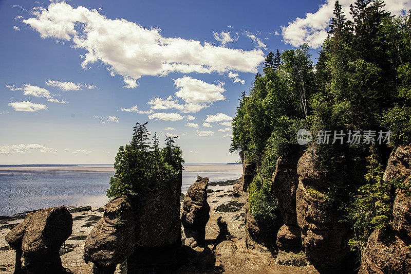 加拿大新不伦瑞克省芬迪湾的霍普韦尔岩石