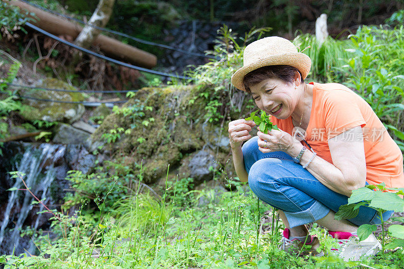 老年妇女喜欢夏天徒步旅行