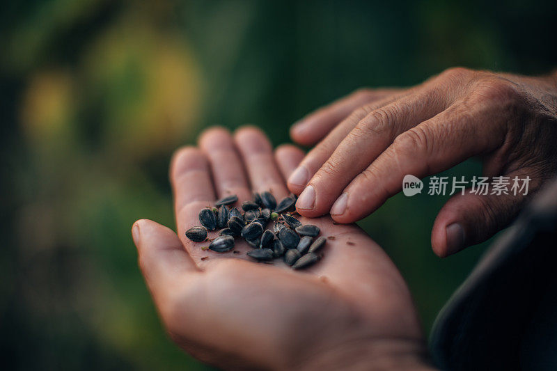 拿着葵花籽的男人