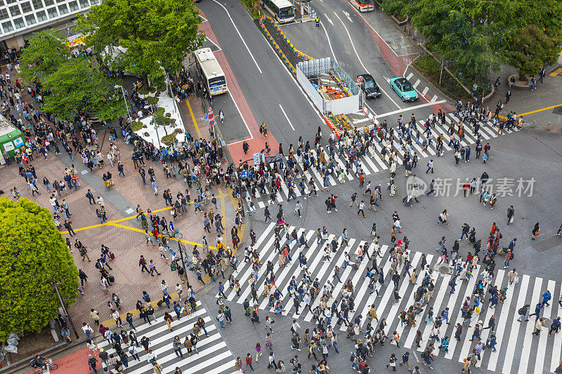 涉谷十字路口行人过马路鸟瞰图