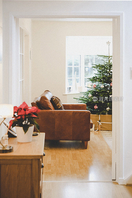 圣诞树和礼物在客厅