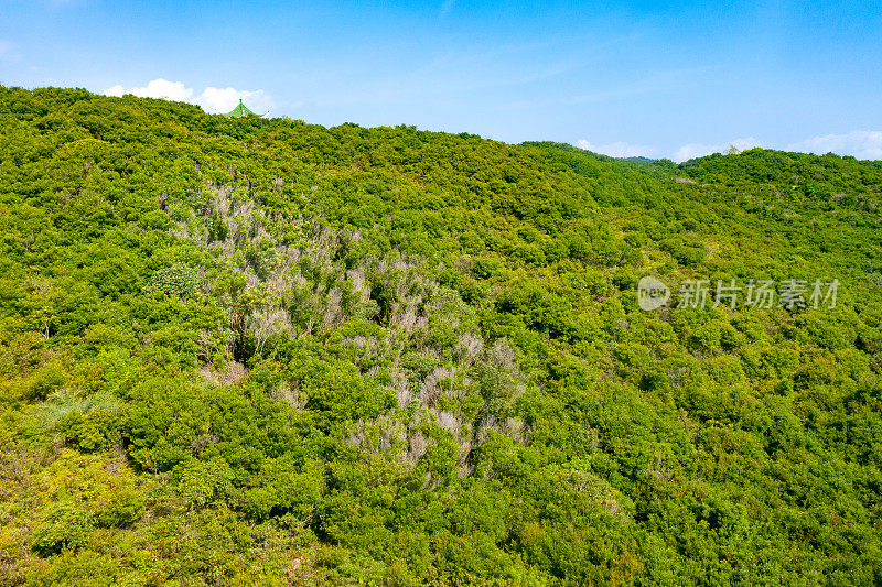 位于西贡的塔门或草岛海景