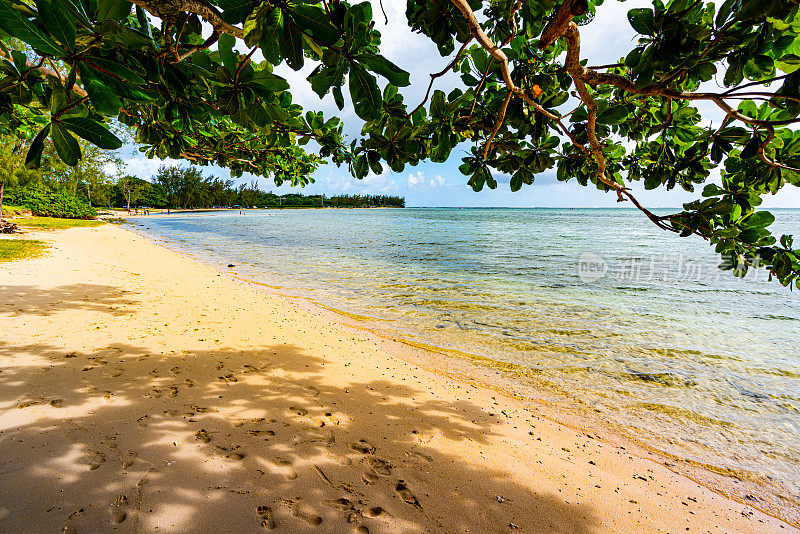 毛里求斯岛上的热带海滩
