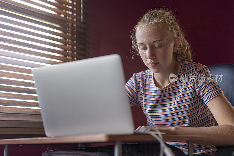 在笔记本电脑上在家学习的快乐少女
