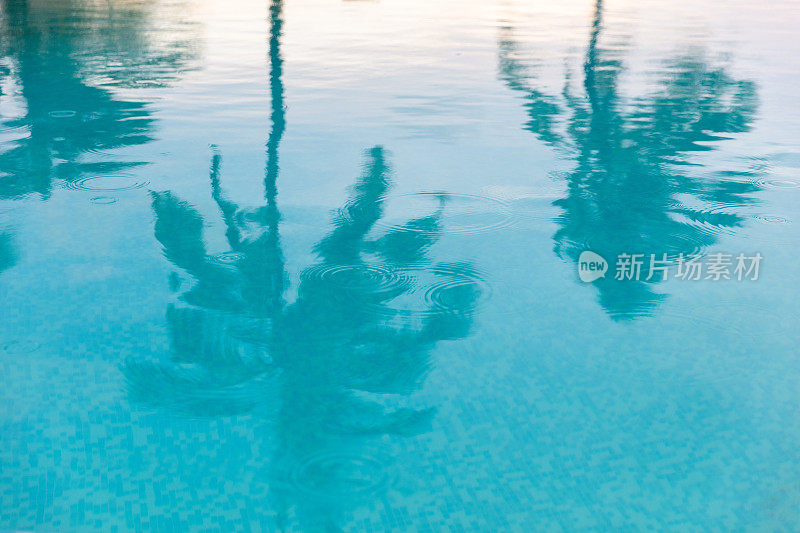 坦桑尼亚桑给巴尔，游泳池中棕榈树的倒影