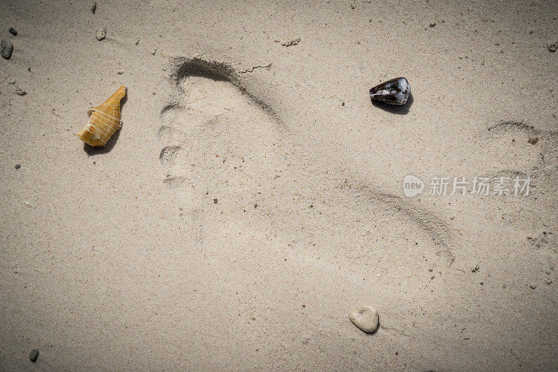 脚印在沙滩上。沙滩上脚印的特写