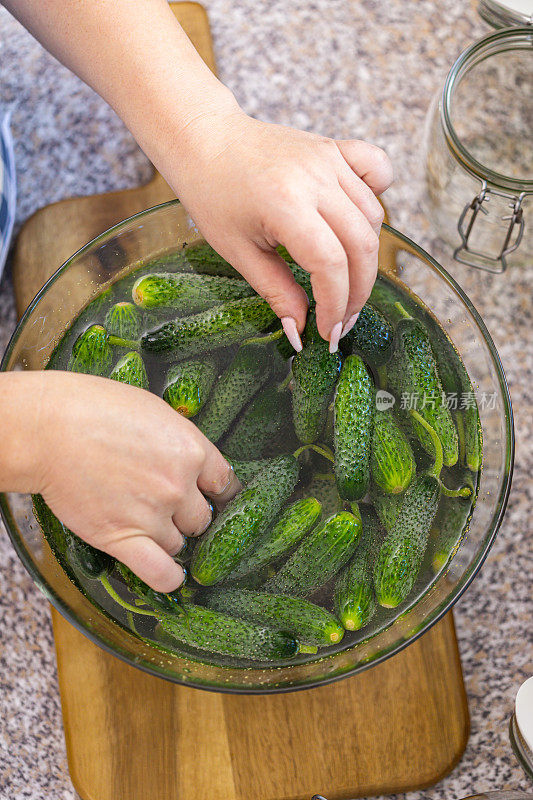 一名年轻女子正在清洗新鲜的有机黄瓜，准备把它们放在罐子里保存