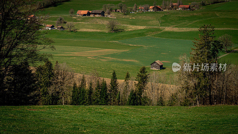 田园诗般的风景。瑞士圣马丁村庄的全景，有农田和树木。