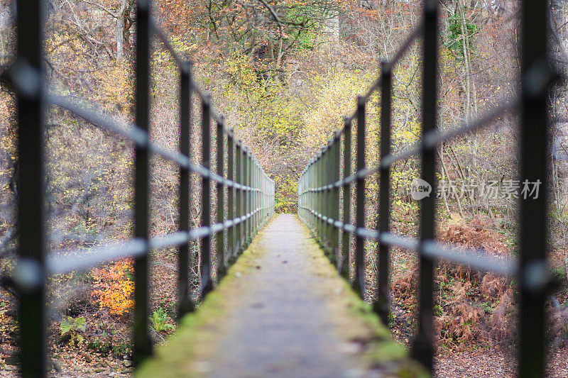 铁栏杆和桥在秋天过河的时候，有选择性的聚焦效果到消失点