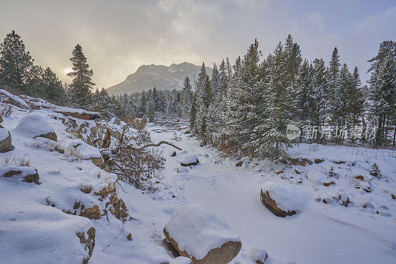 美国科罗拉多州埃斯特斯公园外的落基山国家公园美丽的冬季景色