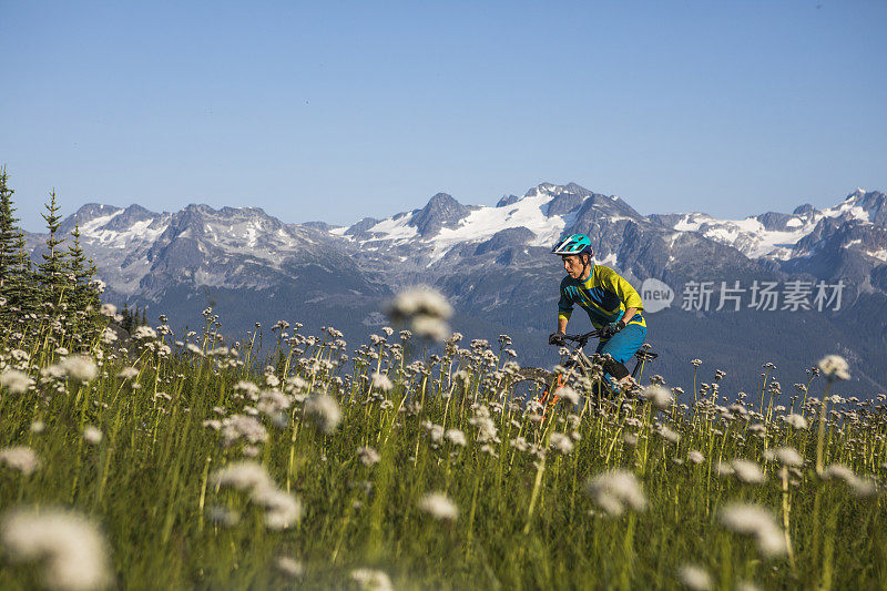 骑山地自行车，欣赏高山美景。