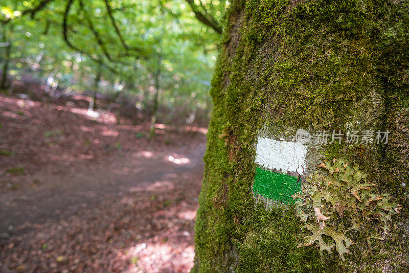 在纳瓦拉比利牛斯山徒步旅行的塞尔瓦・德・伊拉蒂在秋天