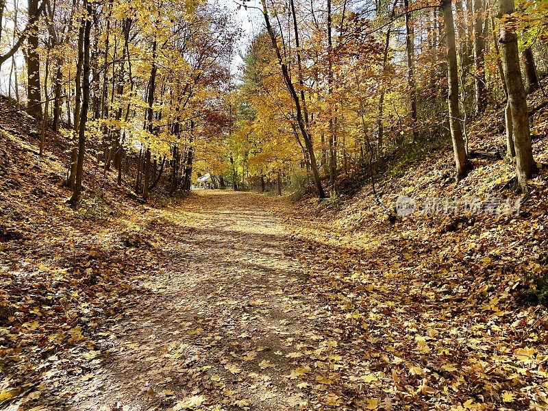 马里兰州火药瀑布州立公园-秋季自行车道