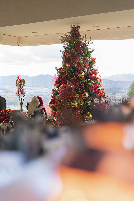 圣诞节装饰的一个房子的客厅