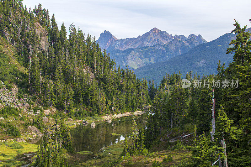 贝克山休闲区希瑟草地的风景