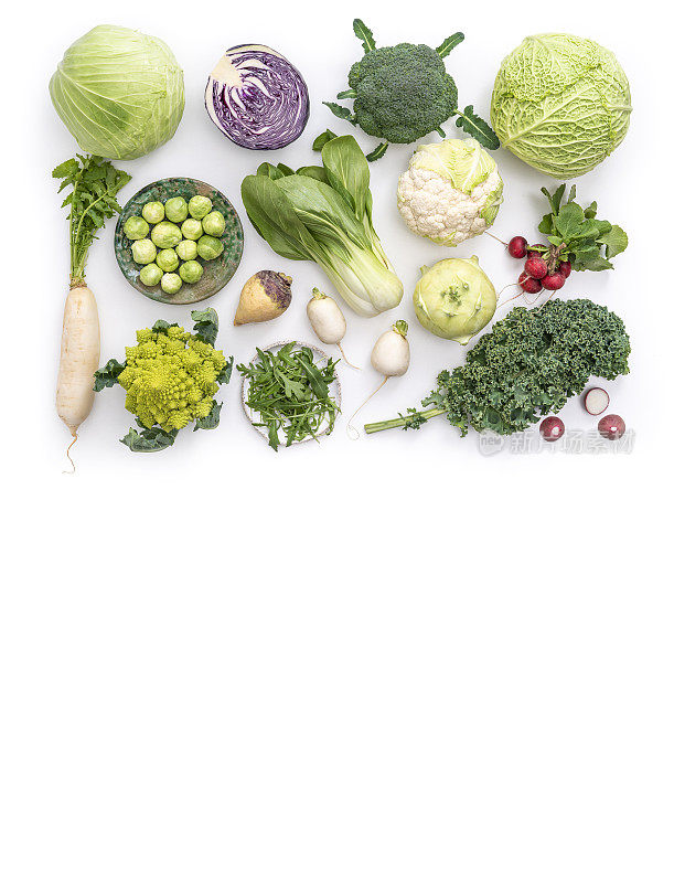 十字花科蔬菜品种如卷心菜，花椰菜，卷心菜，萝卜，羽衣甘蓝，罗马菜，萝卜，芝麻菜