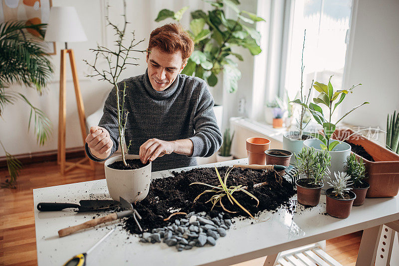 里德海德先生在家里种植室内植物