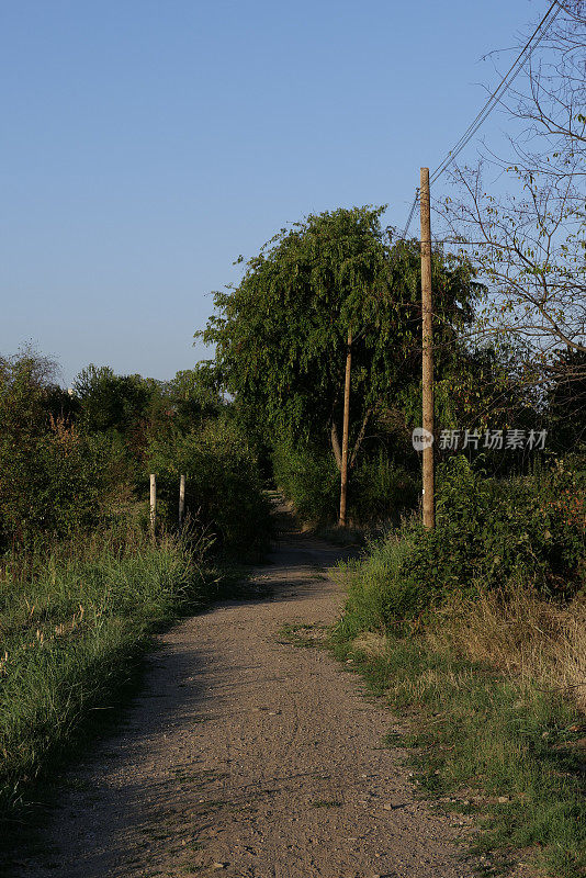 乡间小路