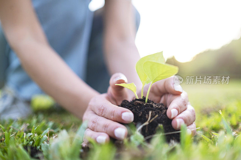 在一个阳光明媚的春日，一个年轻女子用花园铲子在土壤中种植花苗