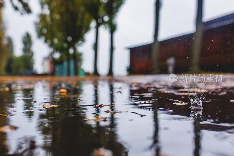 小雨打在沥青。黄色的叶子。下雨了。多雨的天气。秋天