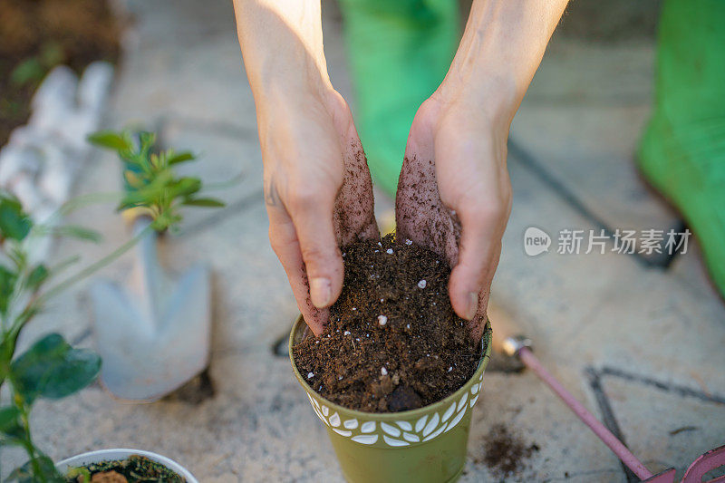 靠近人类的手，种植