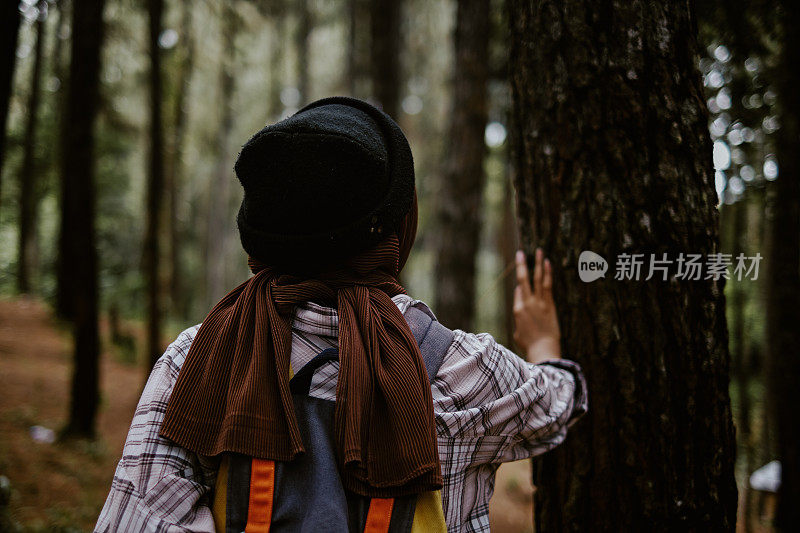 戴着头巾的亚洲妇女独自徒步时抚摸着松树。