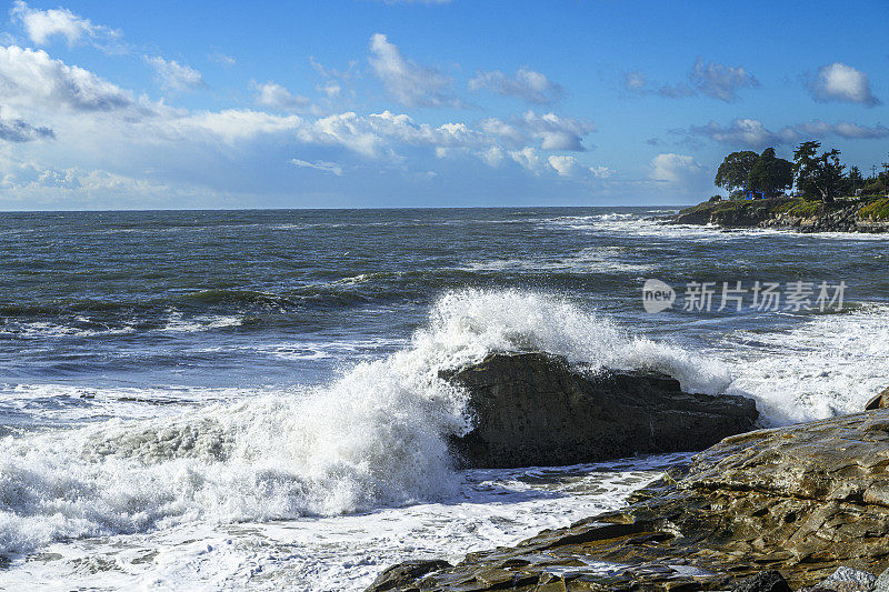 汹涌的海浪冲击着加利福尼亚海岸