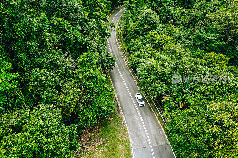 汽车通过森林道路的鸟瞰图