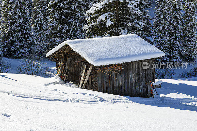 冬天的风景，旧小屋和白雪皑皑的森林