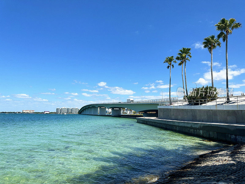 棕榈树和萨拉索塔湾清澈湛蓝的海水美景