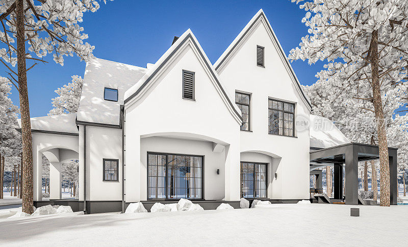白色和黑色的现代都铎王朝的房子在冬季的3d渲染