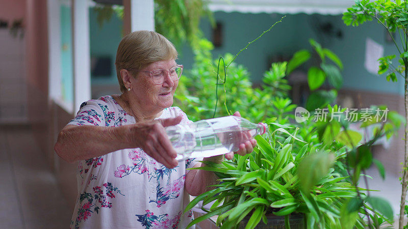 老年妇女在家给植物浇水。正宗居家居家老人后院生活套路
