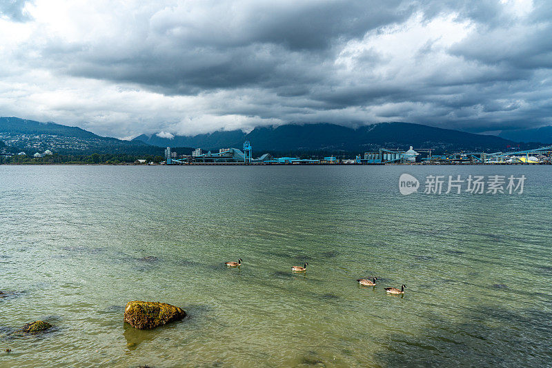 加拿大温哥华，泥盆纪海港公园和斯坦利公园的景色