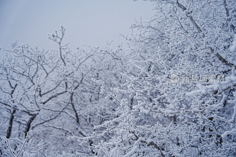 山上的硬霜(雪晶)